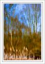 Plantsbrook_NR.jpg