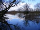 Pocklington-Canal1.jpg