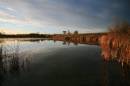 Pond-at-Sunrise-Ss.jpg