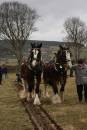 Pulling_together_at_the_ploughing_match.jpg