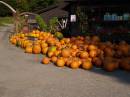Pumpkins-w.jpg