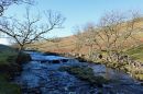 Quiet-Wharfe.jpg