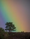 Rainbow-1020831.JPG