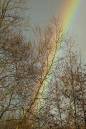 Rainbow-2.jpg