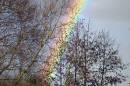Rainbow.jpg