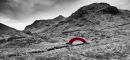 Red_Paper_Bridge-1-5.jpg