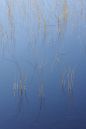 Reeds-Lochan-Fuar.jpg