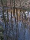 Reflection3.jpg