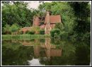 Reflection_on_the_pond.jpg