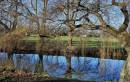 Reflections8.jpg