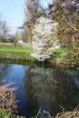 Reflections_1.jpg
