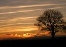 Ripon-Sunset.jpg