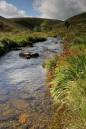 River-Barle-Exmoor.jpg