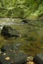 River-Barle-early-autumn.jpg