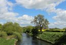 River-Nidd.jpg