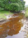 River-Reflection.jpg