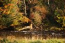 River_Bank1.jpg