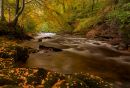 River_Calder_wpf-1.jpg