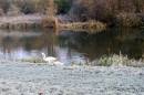 River_Clolne_3.jpg