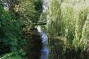 River_Colne_21.jpg