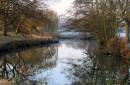 River_Colne_4.jpg
