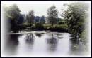 River_Colne_Stratford.jpg