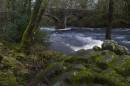 River_Dart_Canoe.jpg