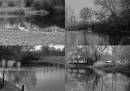 River_In_Essex.jpg