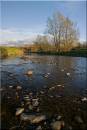 River_Ribble_at_Grindleton.jpg