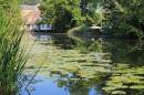 River_Stour.jpg