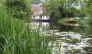 River_Stour_1.jpg