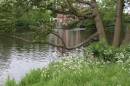River_Stour_3.jpg