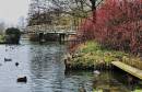 River_Stour_31.jpg