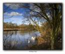 River_Trent.jpg