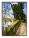 River_Trent_1.jpg