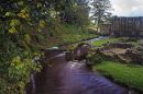 River_at_Fountains_Abbey.jpg