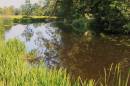 River_at_stratford_St_Mary_1.jpg