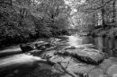 River_esk_B_W-1.jpg