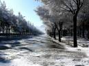 Road_in_Winter.jpg