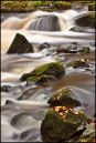 Rock-n-River-WP-0305.jpg