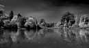 SHEFFIELD_PARK-4_b_w_CROPPED.jpeg