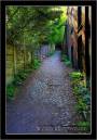 STYAL_01A.jpg