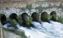 Salmon-Pass.jpg