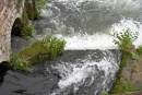 Salmon-Pass1.jpg