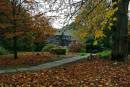 Samlesbury_Autum_s_.jpg
