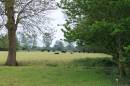 Shades_Of_Green_4.jpg