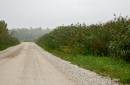 ShoreRoad.jpg