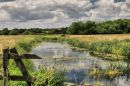 Shot_on_the_river_colne_today_22062014.jpg