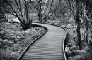 Silver_Meadows-1.jpg