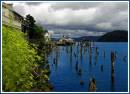 Siuslaw.jpg